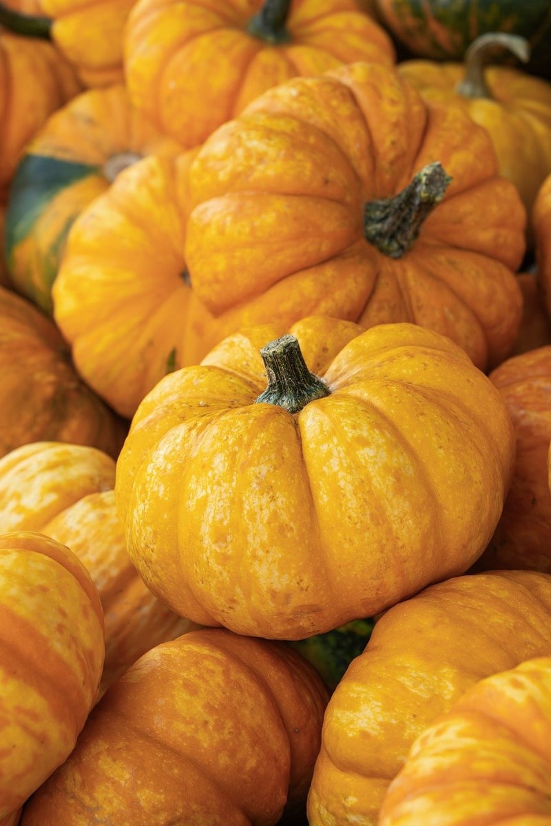 Fruits and Vegetables